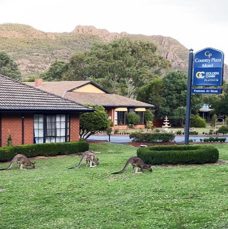 Golden Chain Country Plaza Motel Halls Gap Bagian luar foto