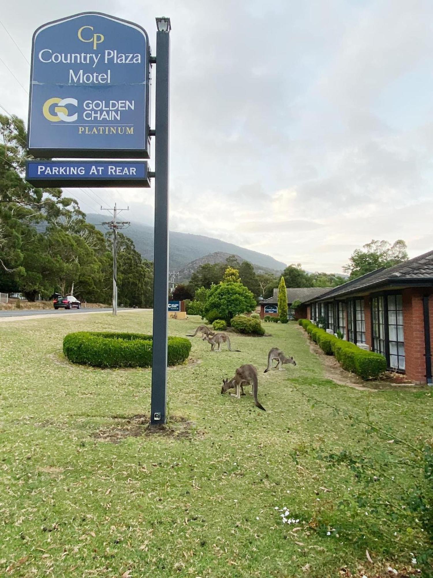 Golden Chain Country Plaza Motel Halls Gap Bagian luar foto